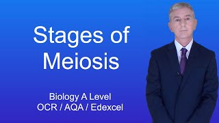 A Level Biology Revision "Stages of Meiosis".