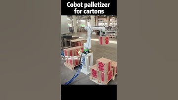 Cobot Carton Palletizer #palletizer #cobot #factory #foryou #packing #machine