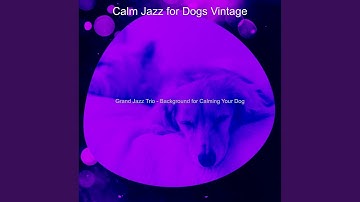 Pulsating Ambience for Calm Dogs