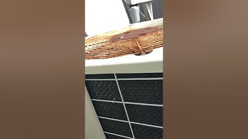 this is what a Copeland reciprocating compressor sounds like with bad suction valves