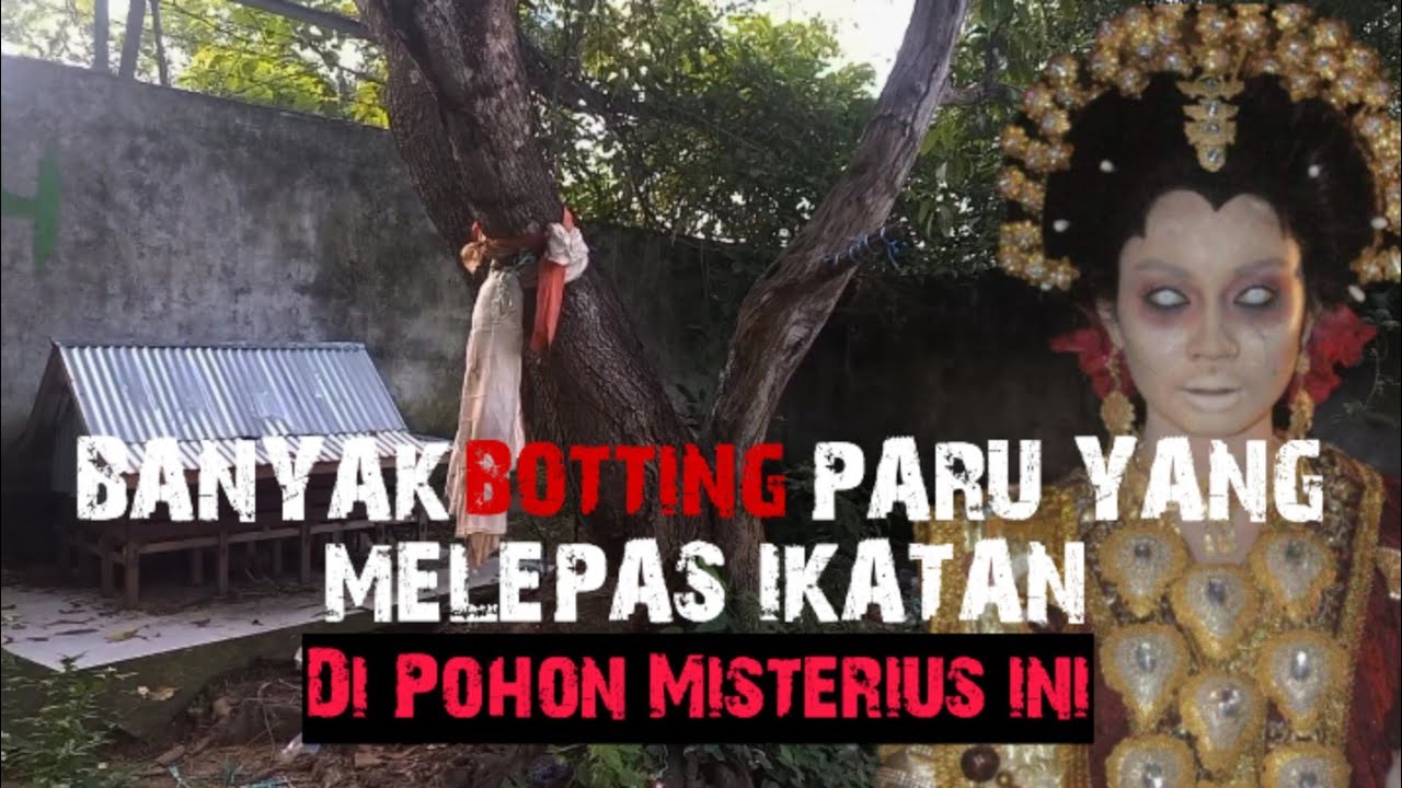 Horor! kondisi gunung pattirosompe saat ini jadi istana Gaib