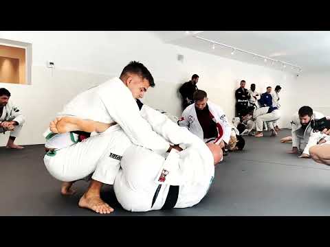 ZR TEAM VIENNA  BRAZILIAN JIU JITSU / GRAPPLING