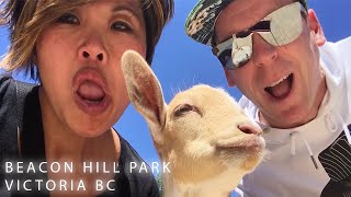 BEACON HILL PARK VICTORIA BC CANADA - THINGS TO DO IN VICTORIA BC