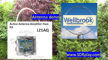 SDRplay comparison of LZ1AQ and Wellbrook loop antennas