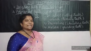 4th class Science lesson.3 Teeth and Microbes part.1by Mrs.S P J RAMANI