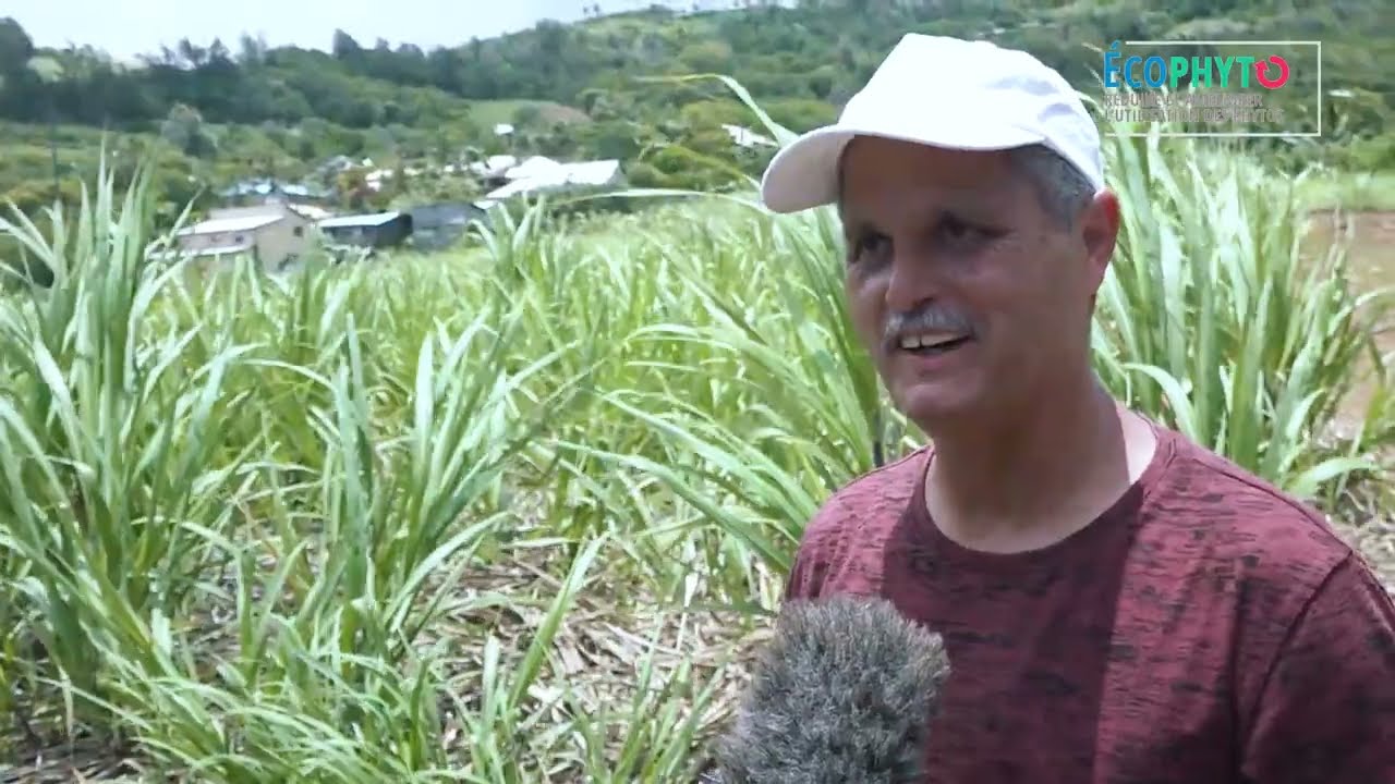 Séminaire Ecophyto InterDOM - Témoignage d'Yvrin Rivière