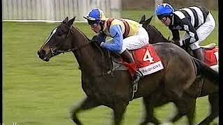 1995 Bonusprint Stayers Hurdle  Dorans Pride Includes Enclosure