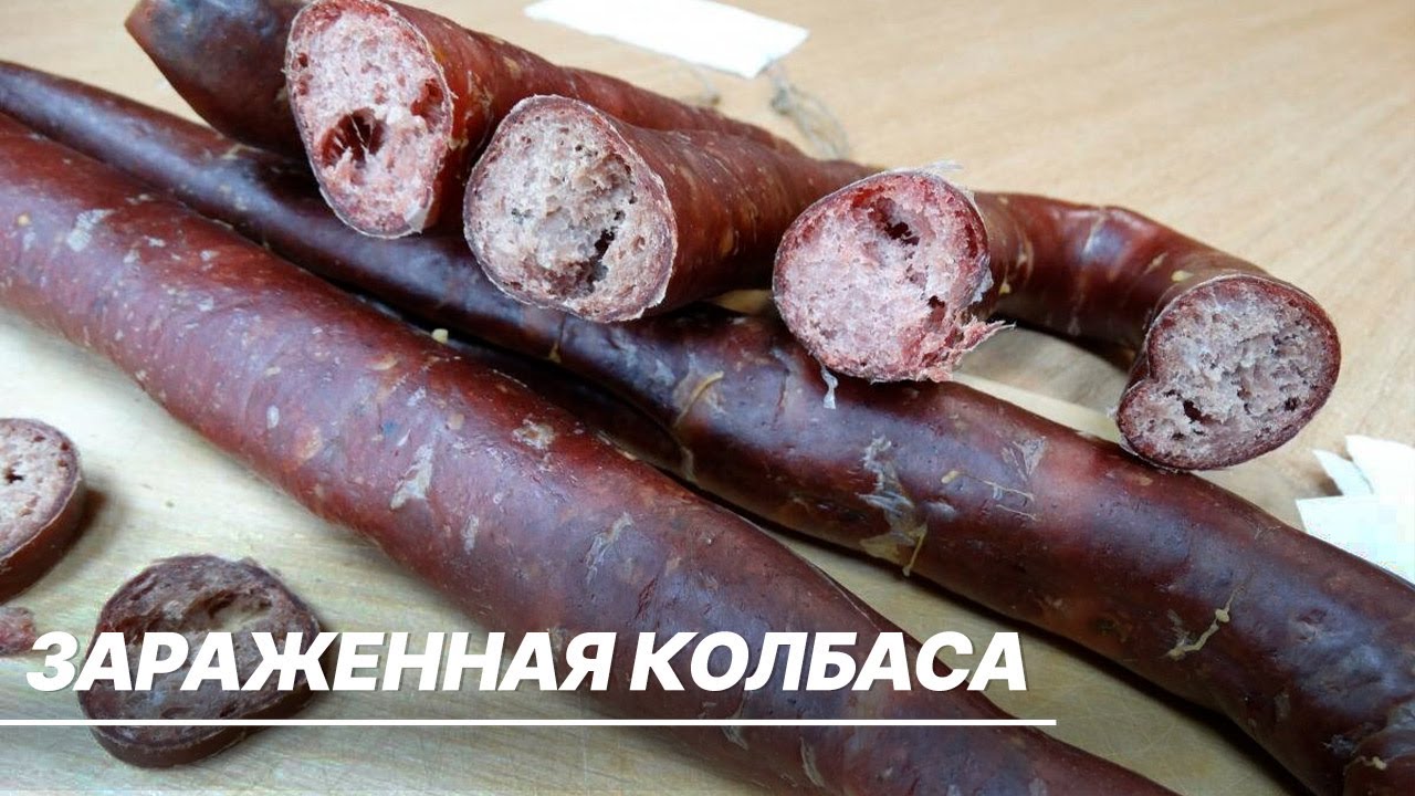 Колбаса с вирусом  африканской чумы свиней проникла в российские магазины. Что будет?