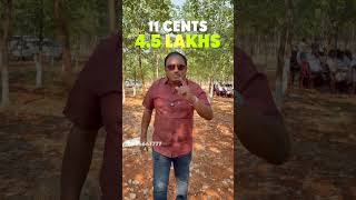 Red Sandalwood Plots | Invest Today Earn Tomorrow | Farmlands in Andhrapradedh