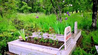 Gururlanma İnsanoğlu - Hüzünlü İlahi̇