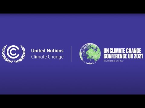 Low-Carbon Development Pathways: The Role and Approaches of Russia