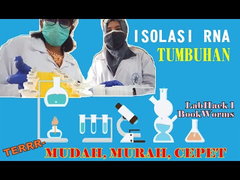 Video: Isolasi Langsung Dan Karakterisasi Eksosom Yang Bersirkulasi Dari Sampel Biologis Menggunakan Kawat Nano Magnetik