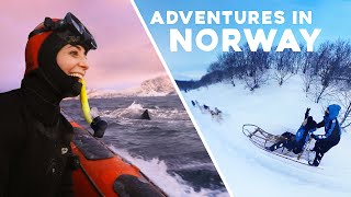 Swimming with Whales & Dog Sledding in the Arctic