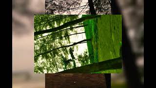 Pilaihan Tepat Dalm Hidupmo Oechan Membawa Kesemhsaran Dunia