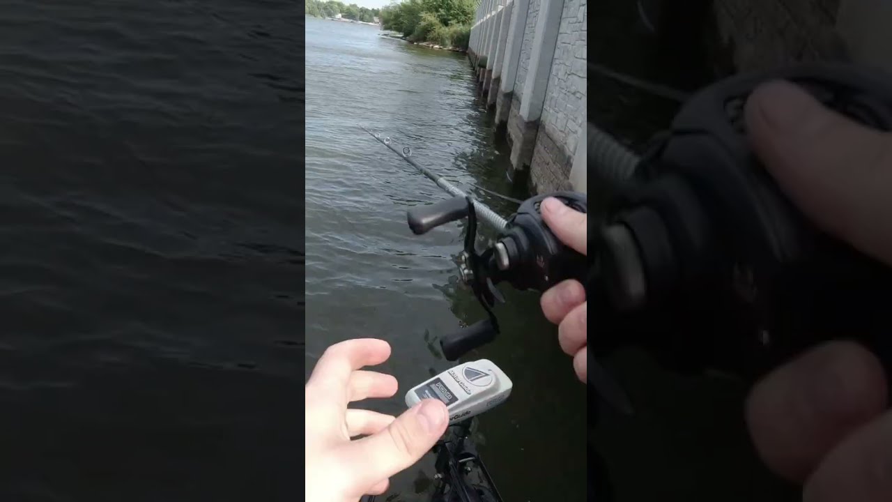 МОЙ САМЫЙ БОЛЬШОЙ ДВОРНИК НА СВЕТЕ! 