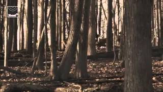 Paul van Dyk  Lost In Berlin featuring Michelle Leonard (Official Music Video)