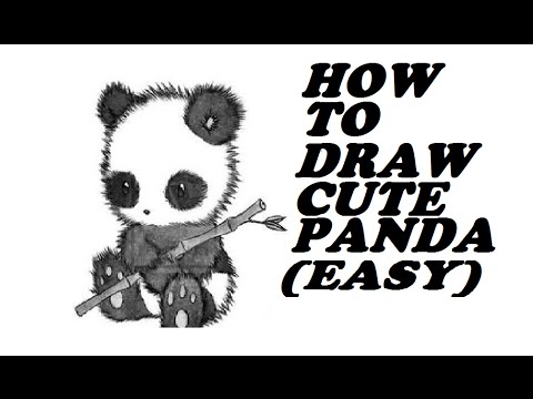 How to Draw - Cute Panda *Realistic* (Easy) - YouTube