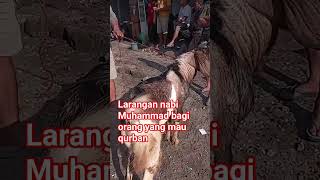 Larangan nabi Muhammad, bagi orang yang mau berqurban #videoshort #herutvofficial