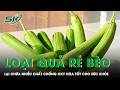 Loại quả rẻ bèo bán đầy chợ nhưng lại chứa nhiều chất chống oxy hóa tốt cho sức khỏe | SKĐS