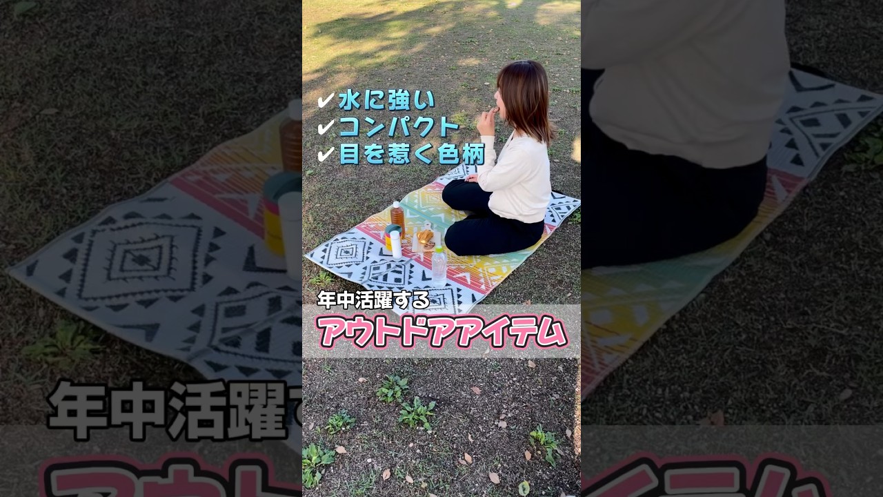 日本製 洗える レジャー シート アウトドア PP ポリプロピレン