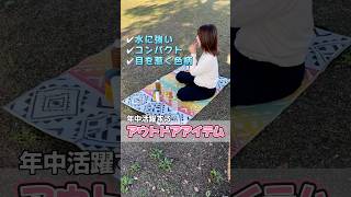 日本製 洗える レジャー シート アウトドア PP ポリプロピレン