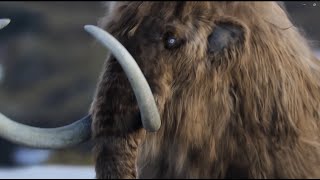 Life On Our Planet [2023] - Mammuthus primigenius Screen Time