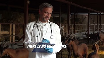 Foot and Mouth Disease in Cattle | FMD Symptoms, Treatment & Prevention for Farmers