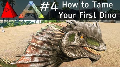 How to Tame a Dinosaur - Let