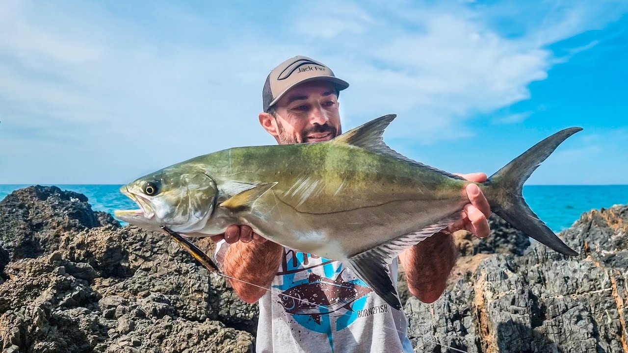 In SCOGLIERA tra ONDE e tante specie di PREDATORI - CATCH and COOK