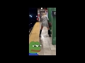 Drunk woman pissing on the NYC subway Fail