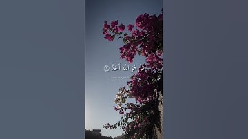 سورة الإخلاص تجويد محمد صديق المنشاوي