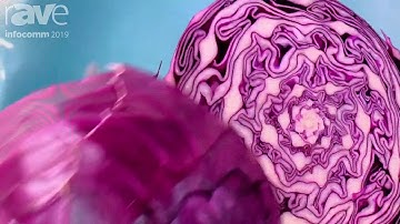 InfoComm 2019: Shenzhen Gloshine Shows Off Its MV 2.97P Curved LED Display