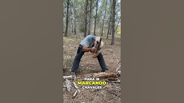 Técnicas Para Cortar Cualquier TRONCO Con El HACHA #ermarchall #survival #adventure