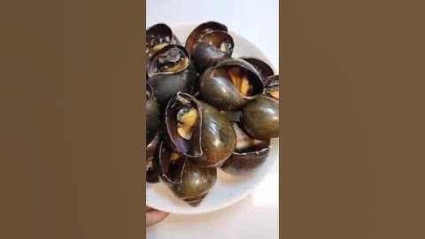 ỐC BƯƠU NHỒI THỊT HẤP SẢ cực ngon | Phương Thảo Food