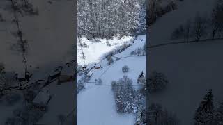Winter flight - DJI TrueVertical #dronephotography #dronekamenjas #subscribe
