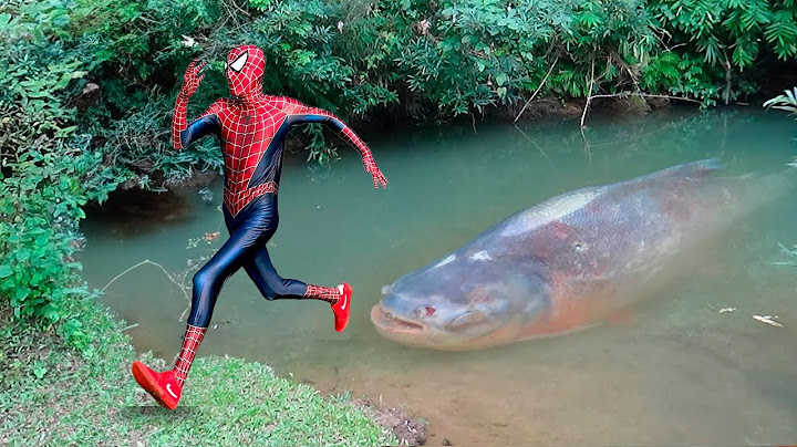 Homem Aranha e o Monstro Peixe Aranha ( 1 Hora de Spider-man )