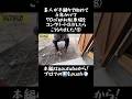 【駐車場DIY】素人が手練りで始めて4年かけて70㎡砂利駐車場をコンクリートDIYしたらこうなりました!⑧#shorts #コンクリート #駐車場 #diy