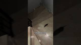 Komik Instagram Yorumları 1815