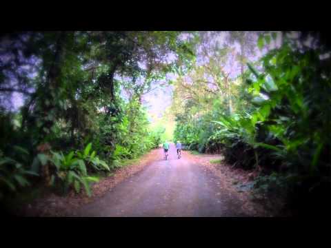 Video: Memerhati Semenanjung Osa, Costa Rica - Rangkaian Matador