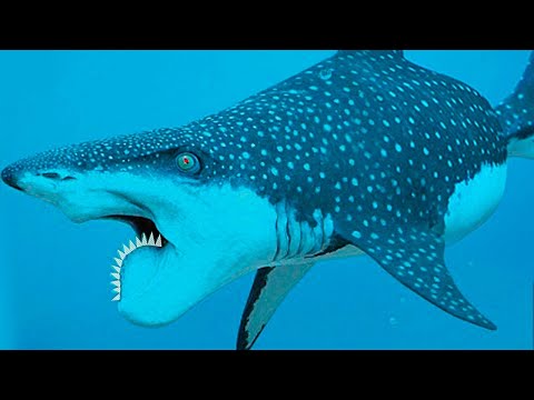 10 Самых Редких Акул, Обнаруженных в Океане
