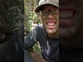 Kidnapped Yelling for Help! Soldiers Confirm POW Status #shorts