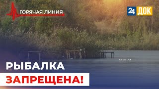 картинка: Почему людям запрещают ловить рыбу в реке? ГОРЯЧАЯ ЛИНИЯ