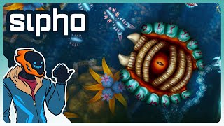 Surprisingly Deep Spore Cell Stage Roguelike! - Sipho [Full Release]