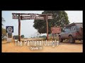 Adventure Travel Brazil - The Pantanal Jungle (Tim and Kelsey get lost Ep 111)