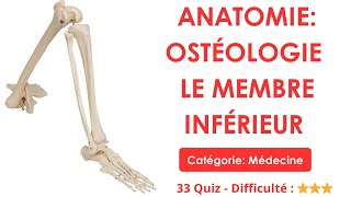 Anatomie (Ostéologie): Le membre inférieur - Catégorie: Médecine - 33 Quiz - Difficulté : ⭐⭐⭐