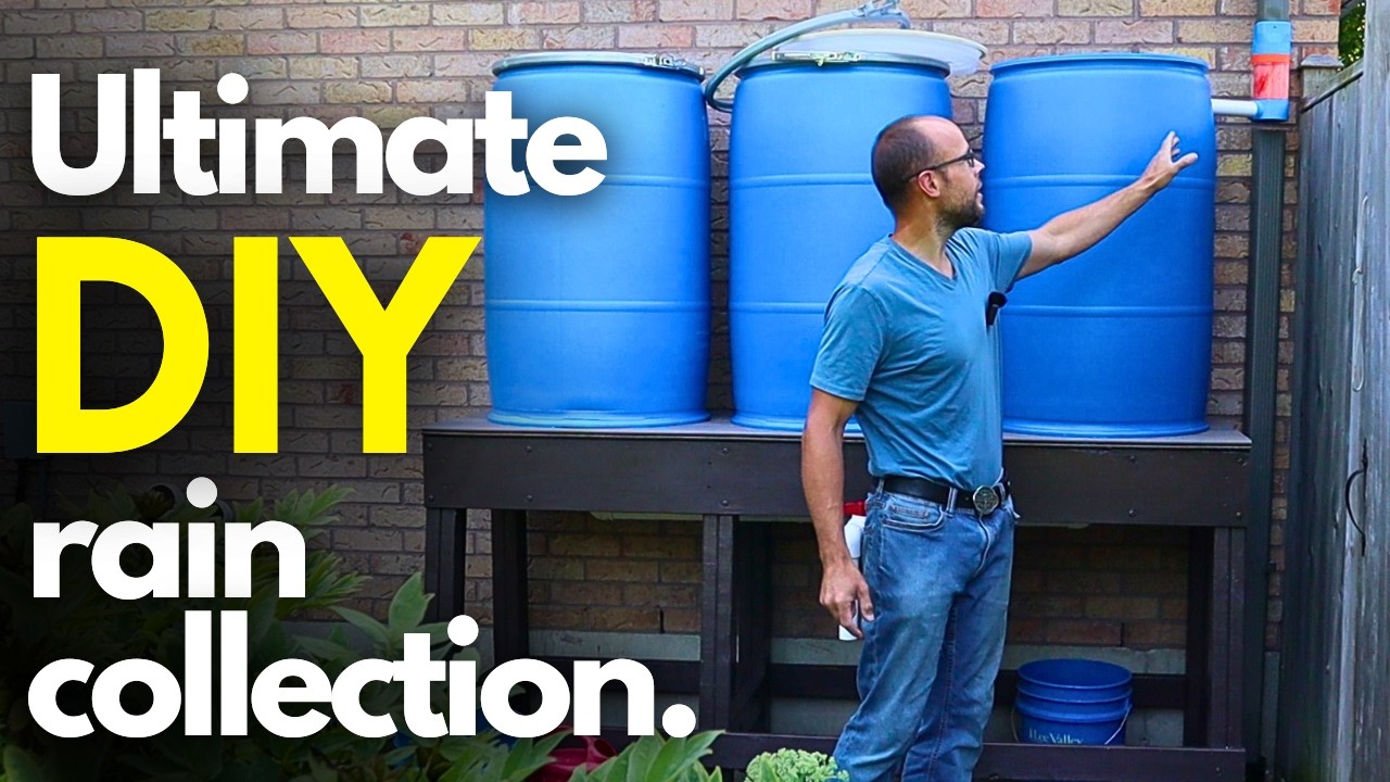 Building a Rain Barrel: Easy Steps to Save Water and Money