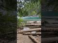 Lindeman lake #nature #shortvideo #bluelake #viralreels #views #hiking #travel