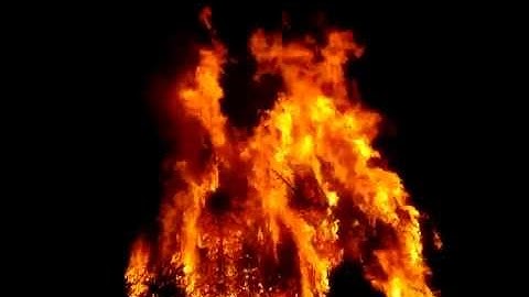 burning down the Xmas tree