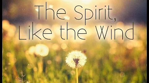 "The Spirit, Like the Wind" Lyric Video (official) - DayDayNews