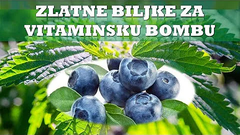 Jaké jsou vitamíny v banánu?